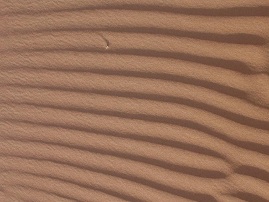 onde
