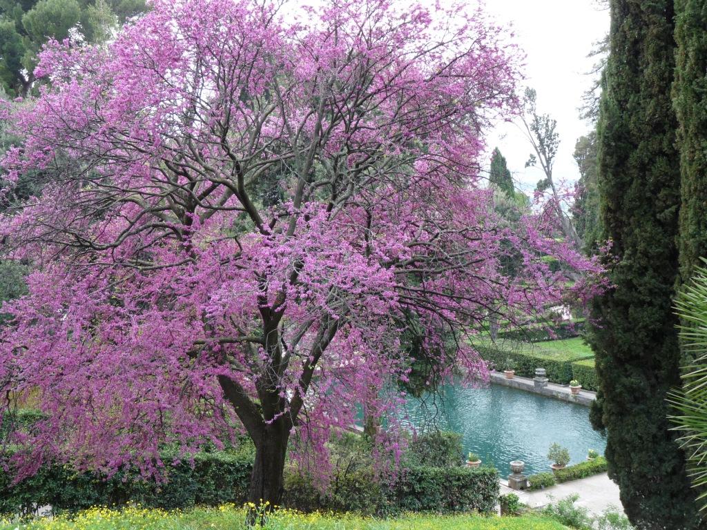 Primavera a Tivoli