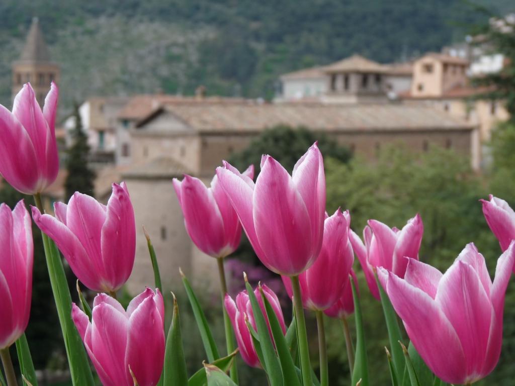 Primavera a Tivoli