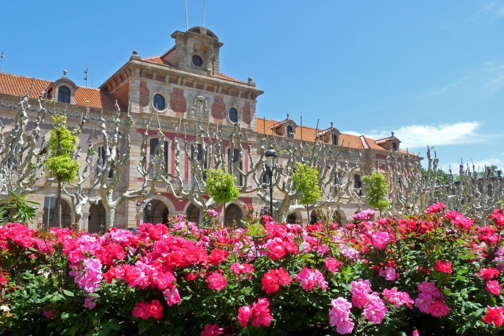  primavera