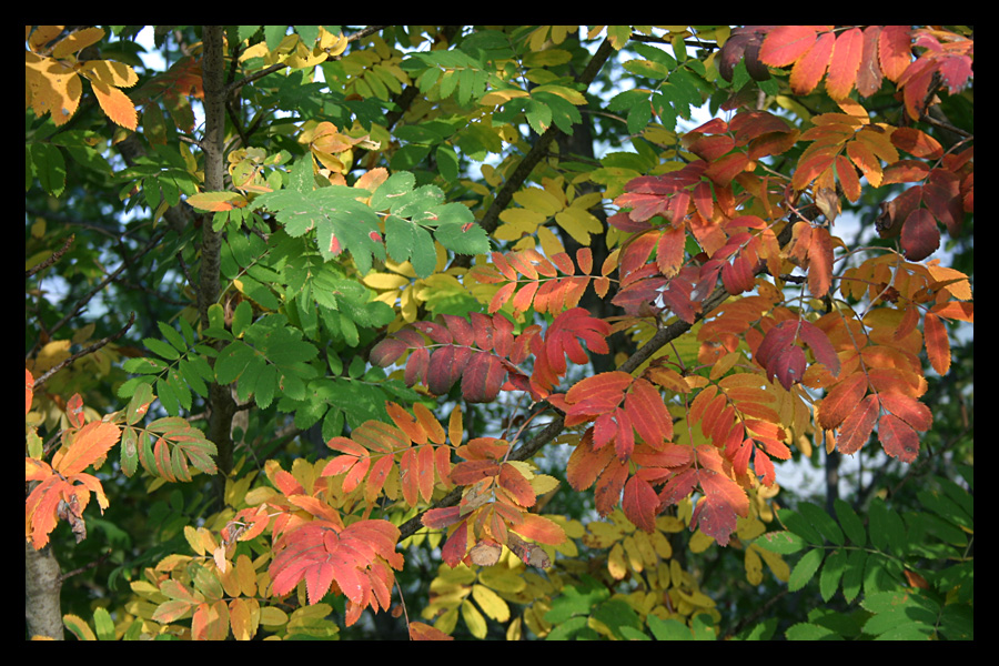 Autunno in arrivo