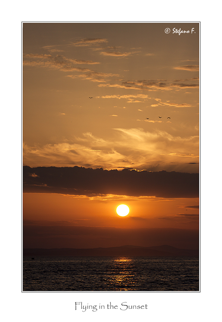 Flying in the sunset...