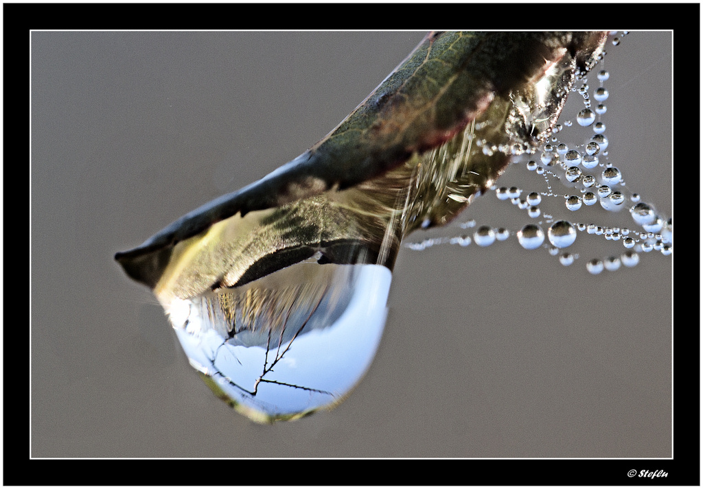 Riflessi