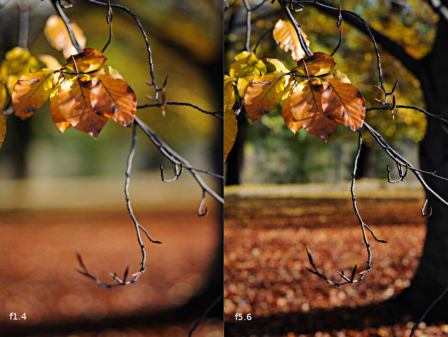 Confronto AI 50mm