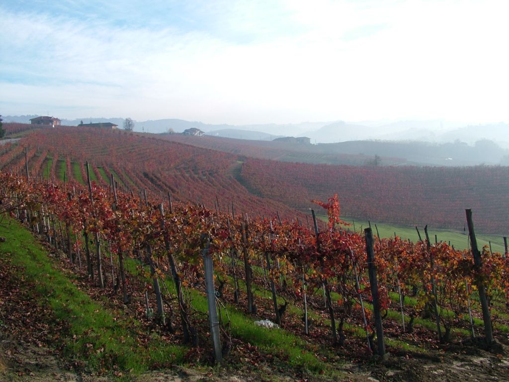 le langhe