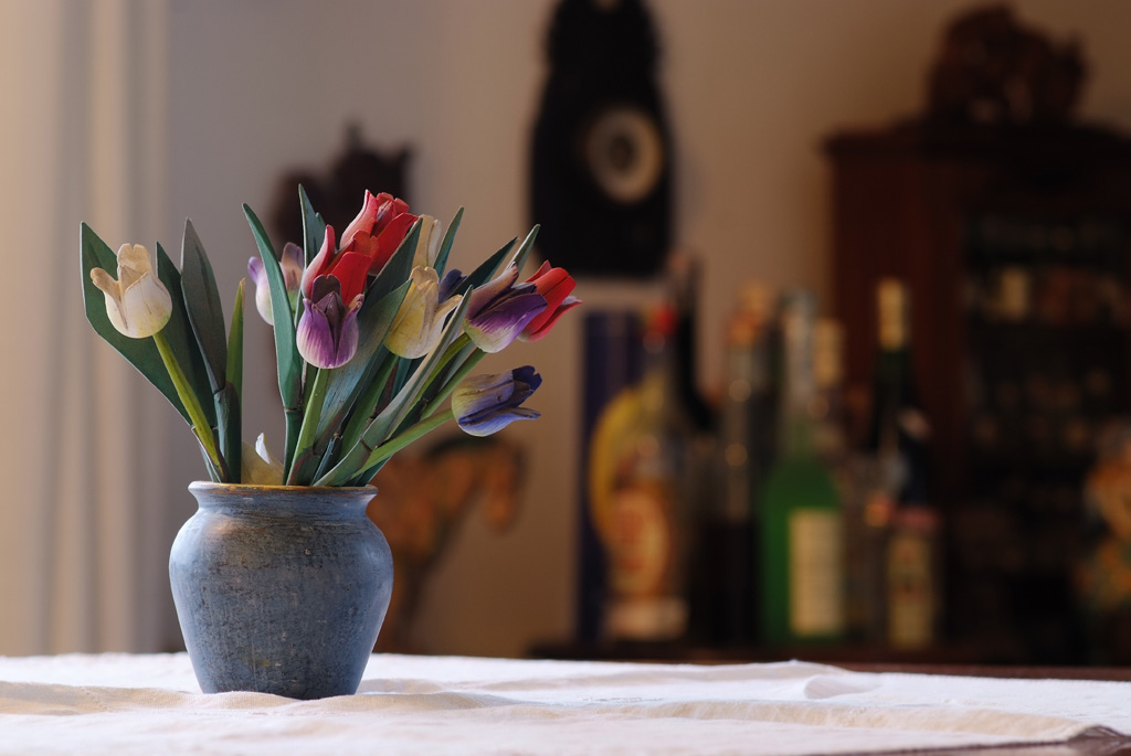 FIORI DI LEGNO - AIS 105 f/1.8@5.6