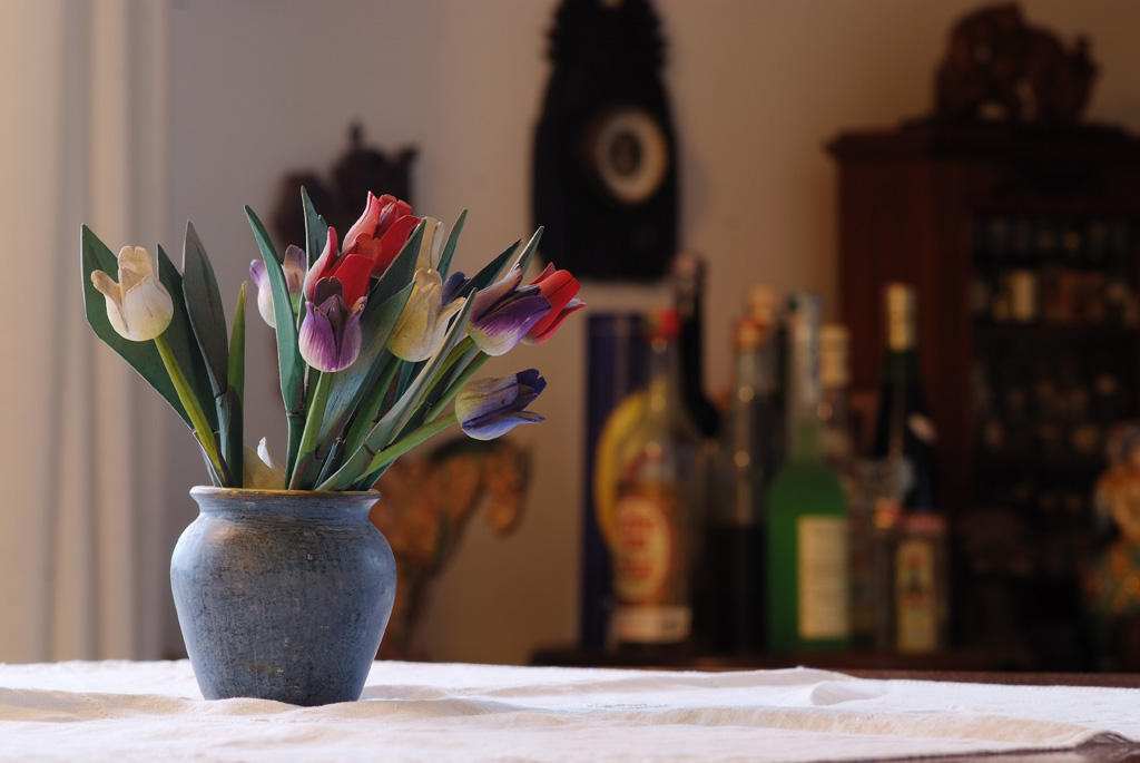 FIORI DI LEGNO - AIS 105 f/1.8@8