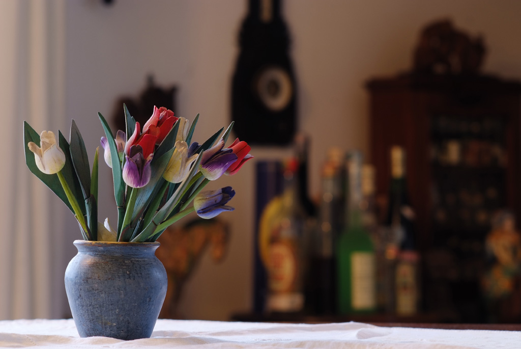 FIORI DI LEGNO - AIS 105 f/2.5@5.6