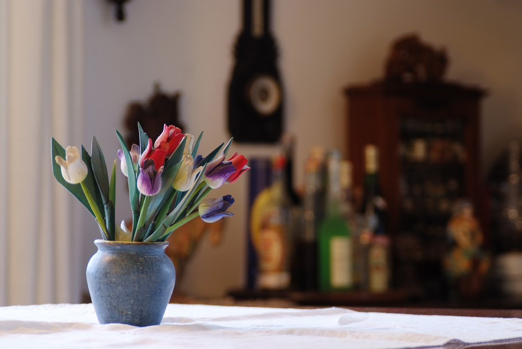 FIORI DI LEGNO - AFD 28-105@105 f/4.5