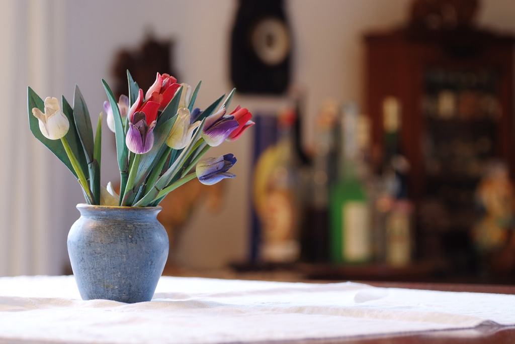 FIORI DI LEGNO - AFS 70-300VR@105 f/4.5