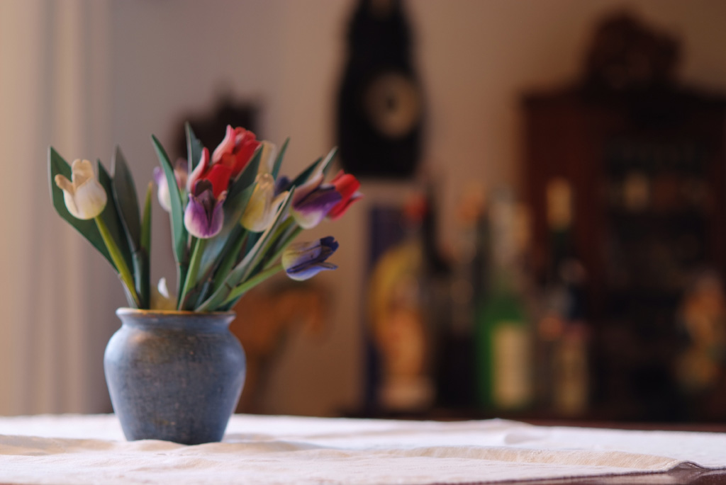 FIORI DI LEGNO - E 75-150 f/3.5@105 f/3.5