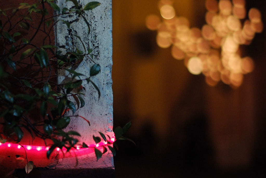 ALBERO-1.8_1024