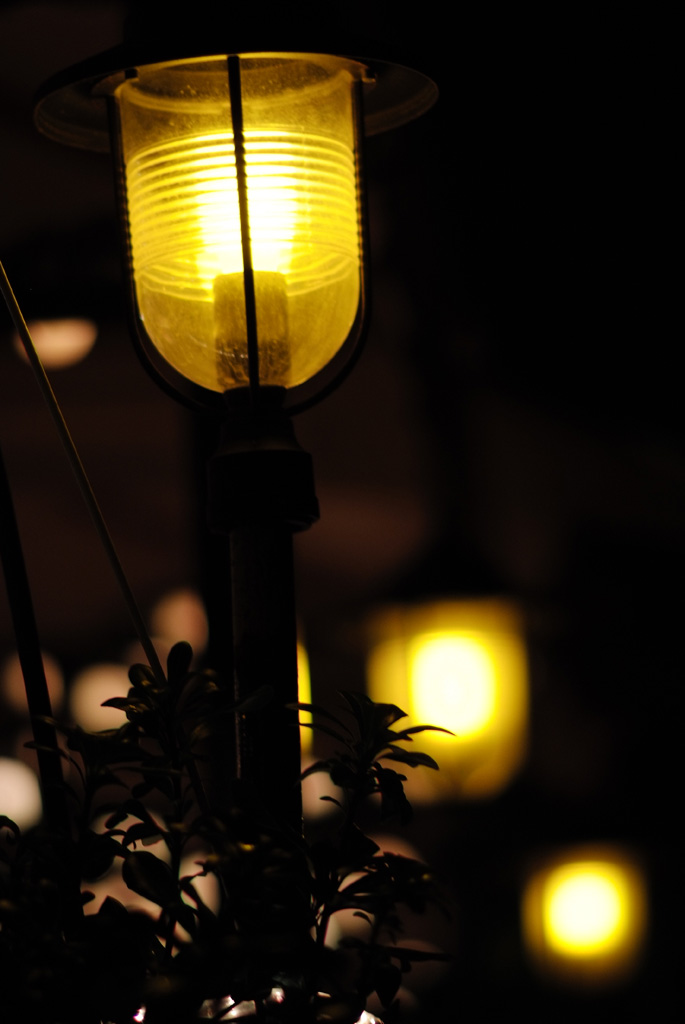 LUMI-1.8_ISO400_+0.7_1024