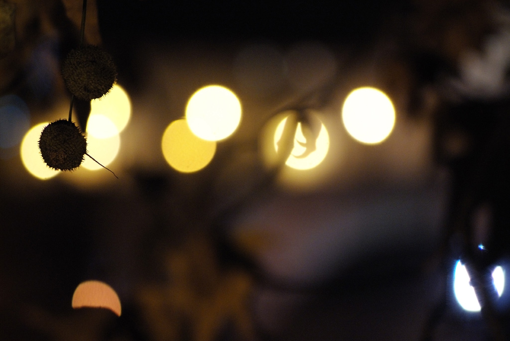 LIGHTS-2.5_F2.5_+0.7_1024