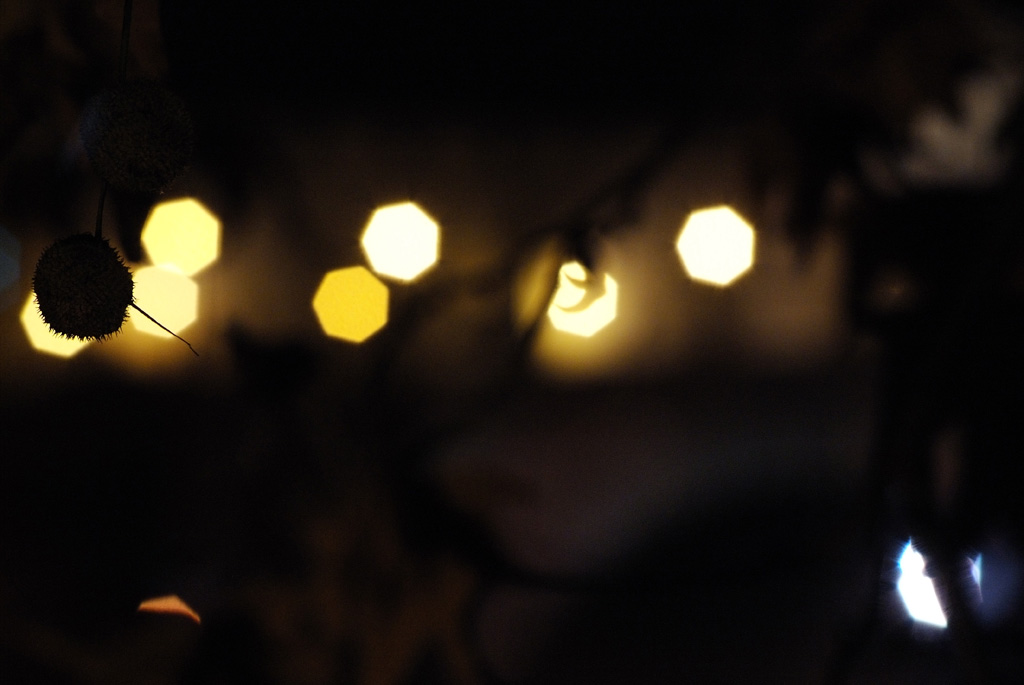LIGHTS-2.5_F4_+0.7_1024