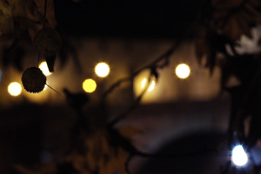 LIGHTS-1.8_F5.6+0.7_1024