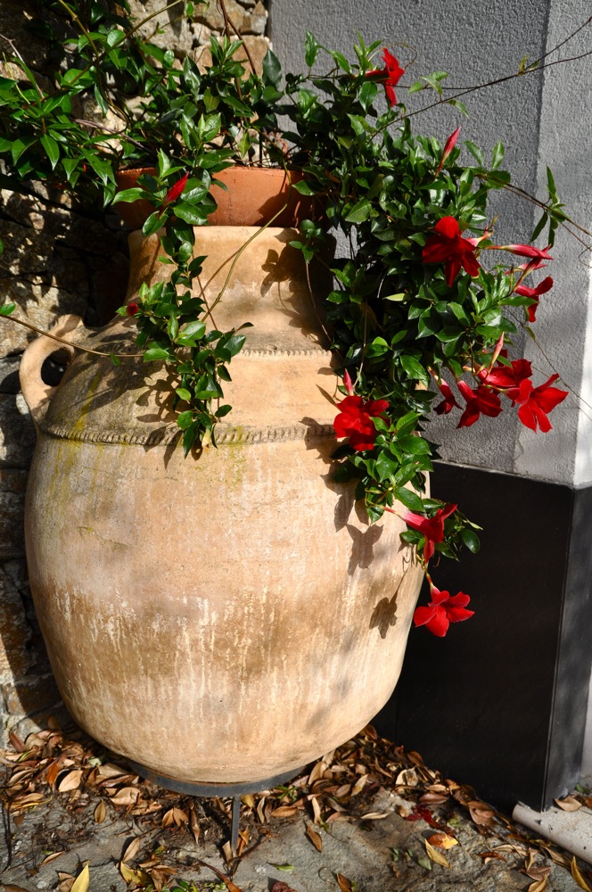Anfora fiorita