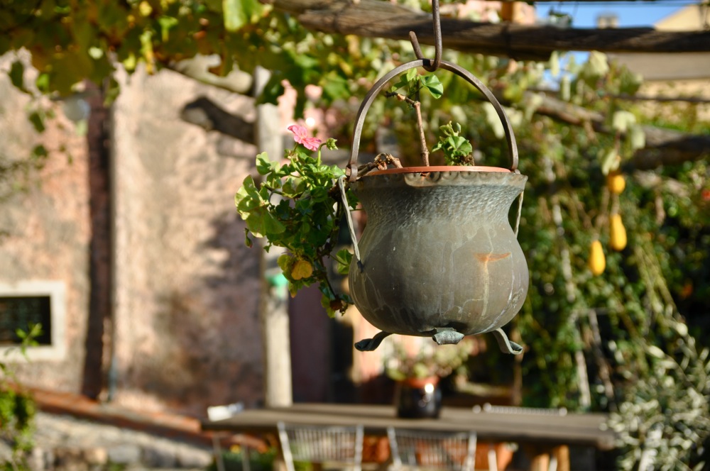 Vaso