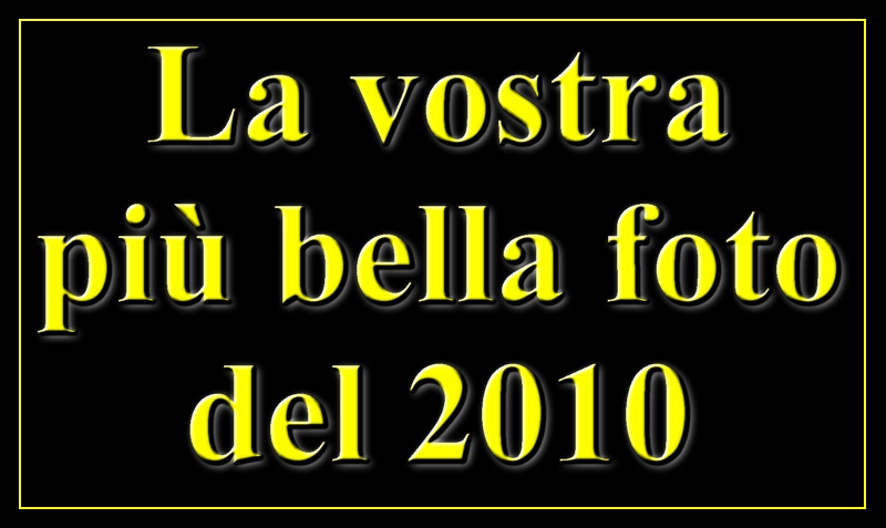 La vostra pi bella foto del 2010