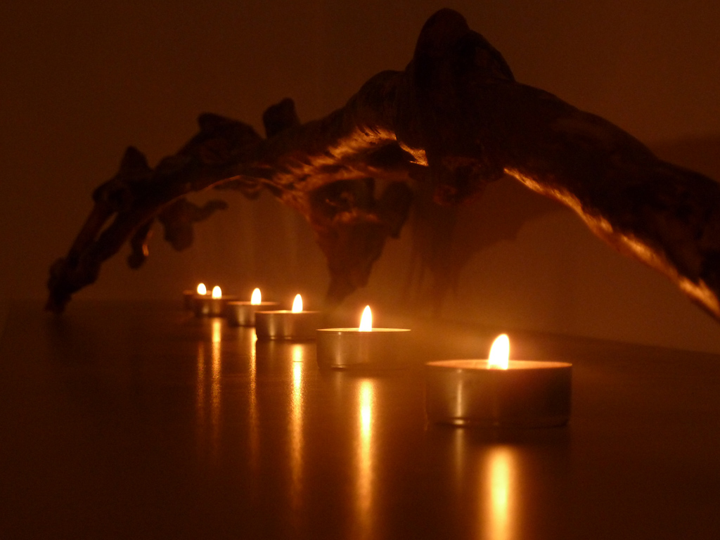 Candele e ramo (2)