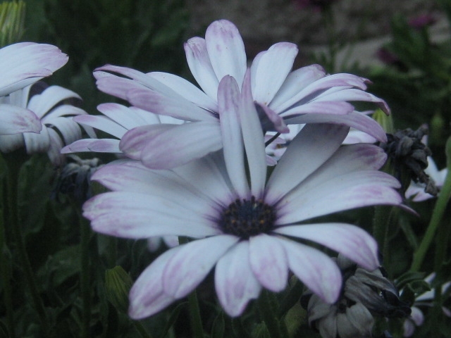 abbracciarsi semplicemente abbracciarsi semplicemente