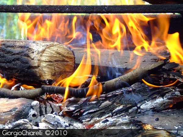 Burnin'Ashes