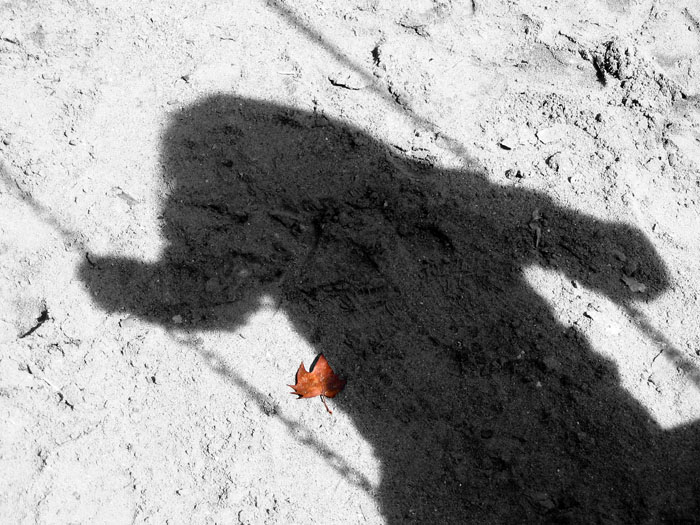 ombra