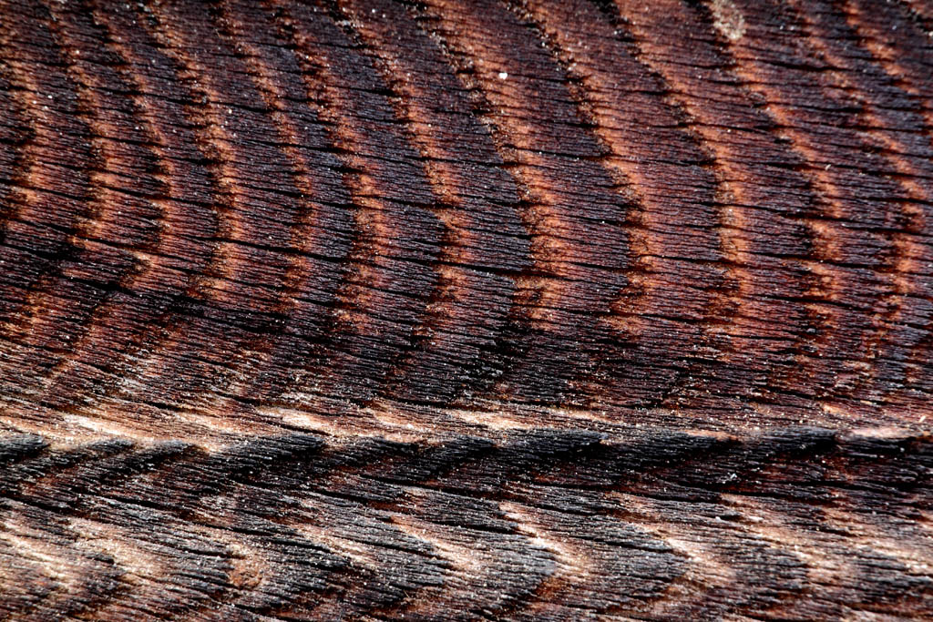 Linee in movimento