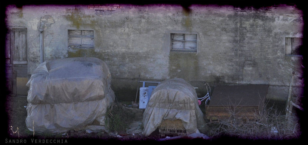 ciclettavioletta ciclettavioletta