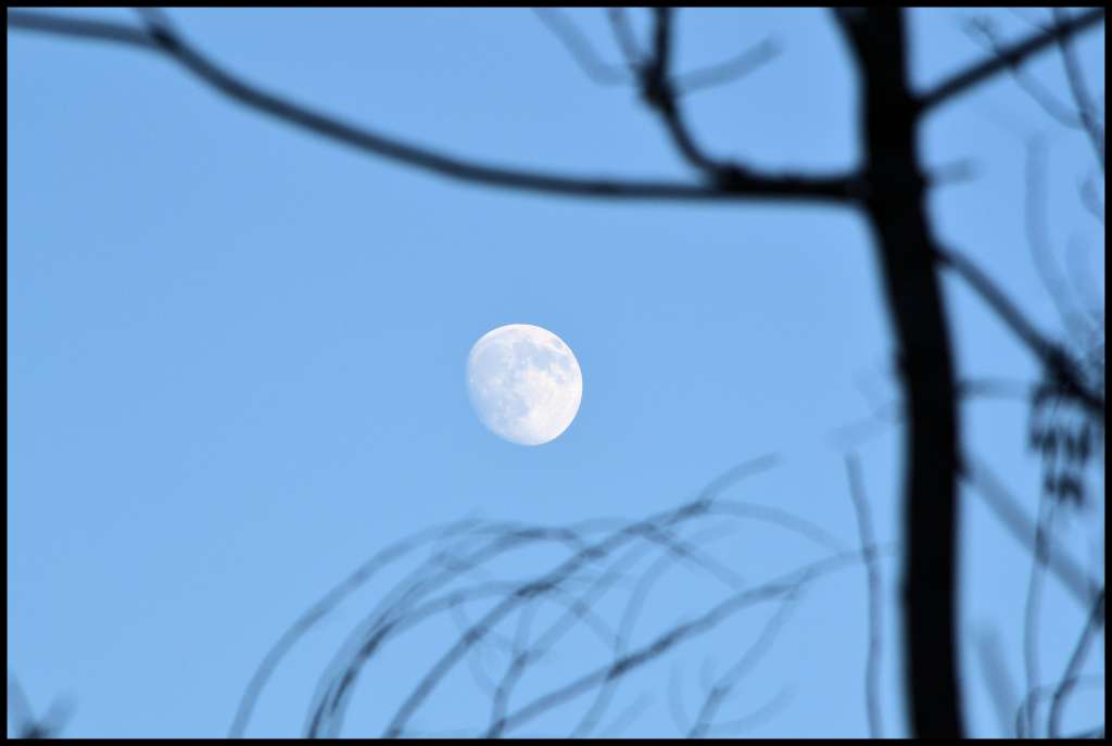 Dillo alla Luna