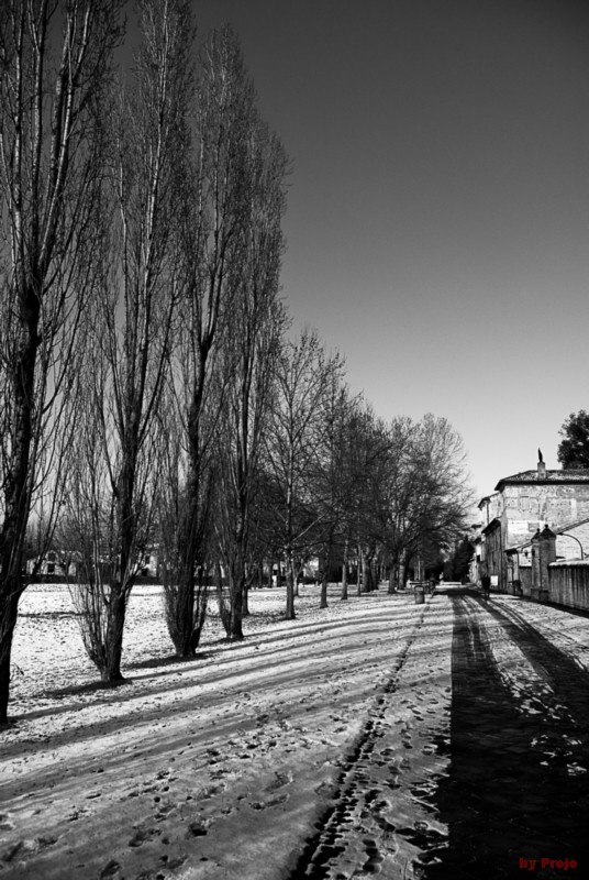 reportage