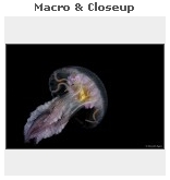 macro.jpg