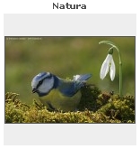 natura.jpg