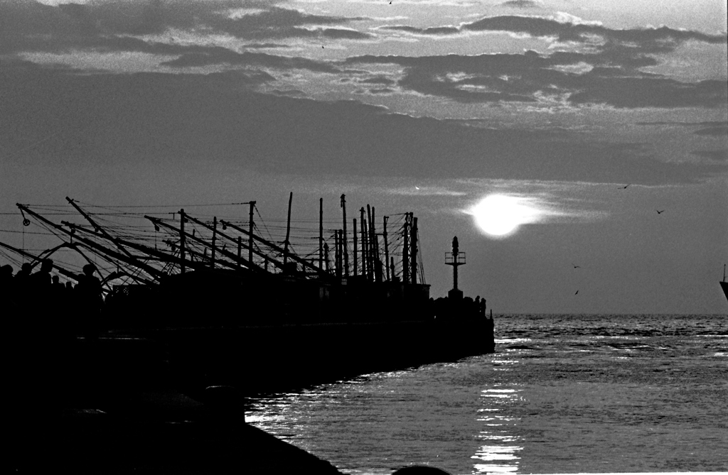 fiumicino