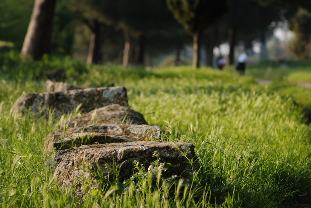 Prato Appia Antica 80-200@105