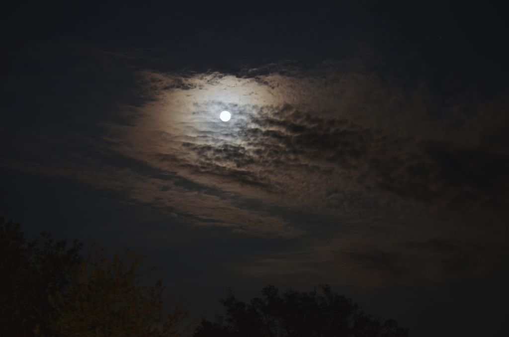 E la luna buss.....
