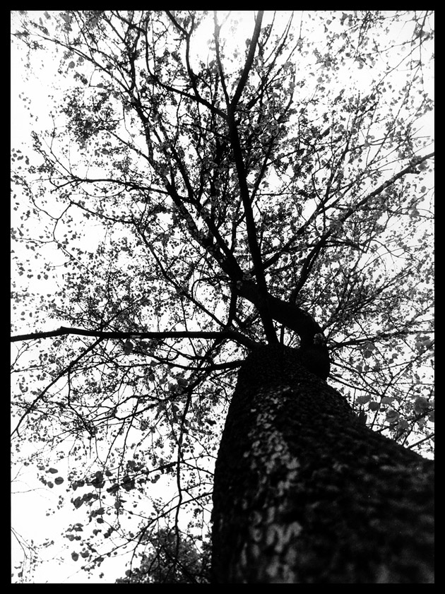 Autunno