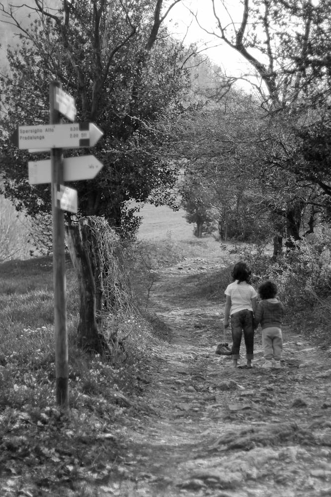 ...il viaggio 2#2