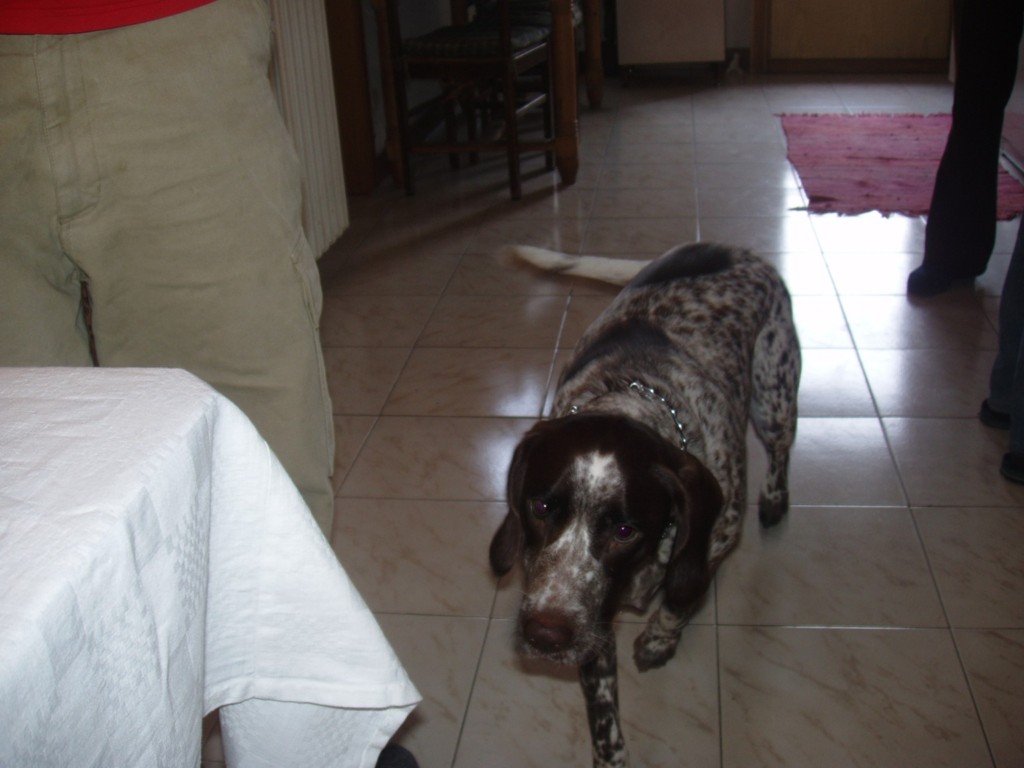 Prima foto di Kira