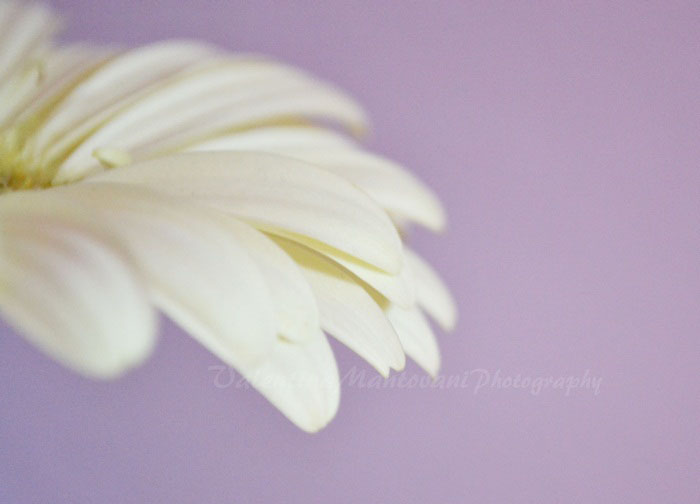 {soft}