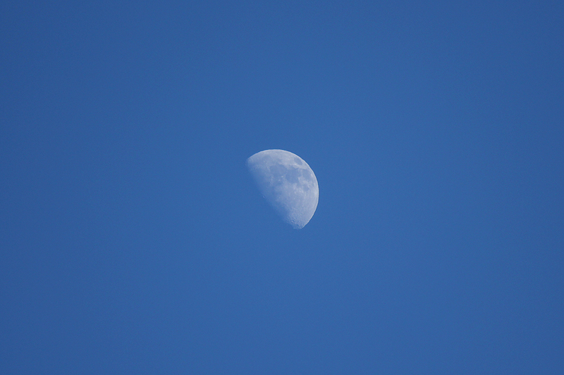 Luna