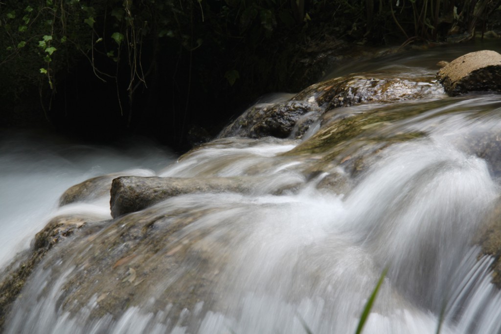 Acqua