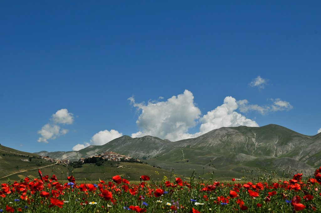 Castelluccio di Norcia