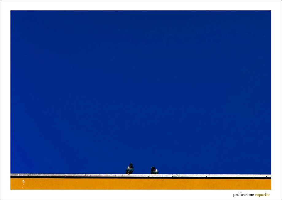 Blu & giallo