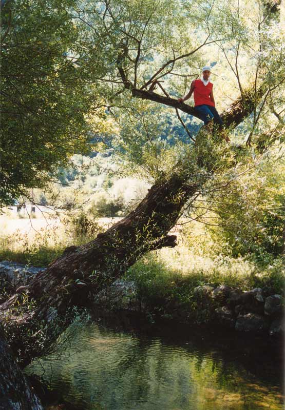 Io-sull'albero