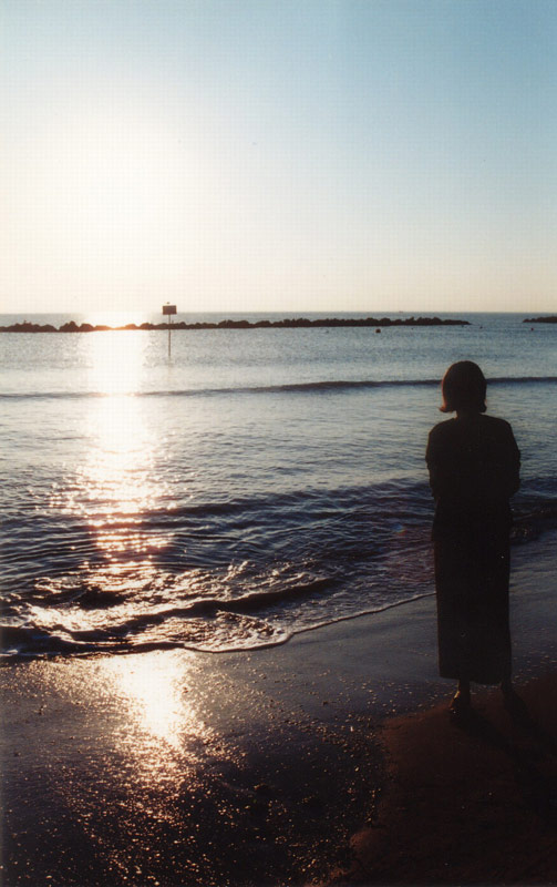 mare