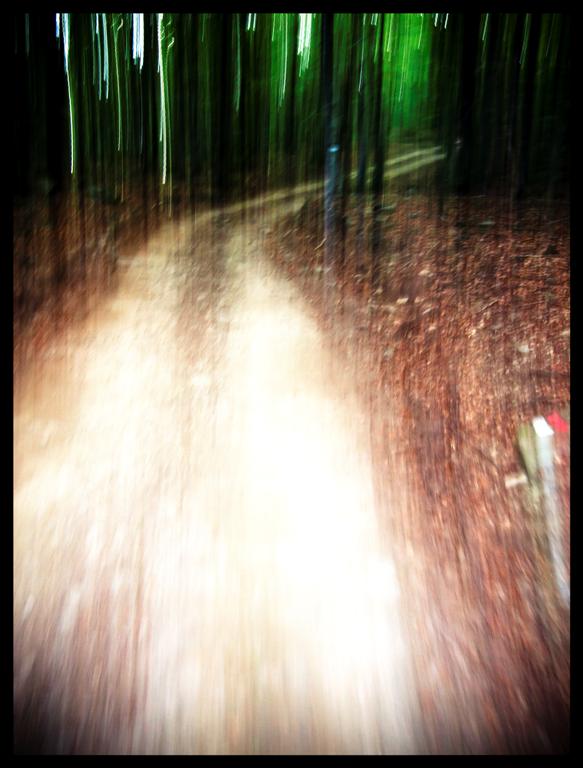 psychedelic wood