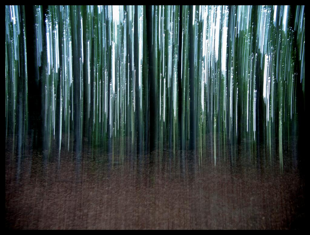 psychedelic wood