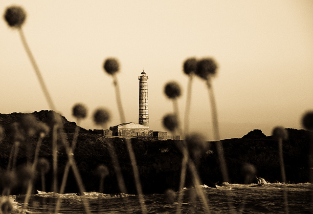 il faro