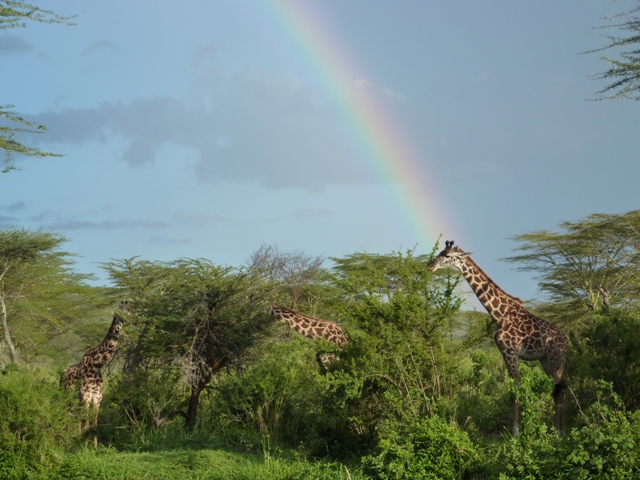Tanzania